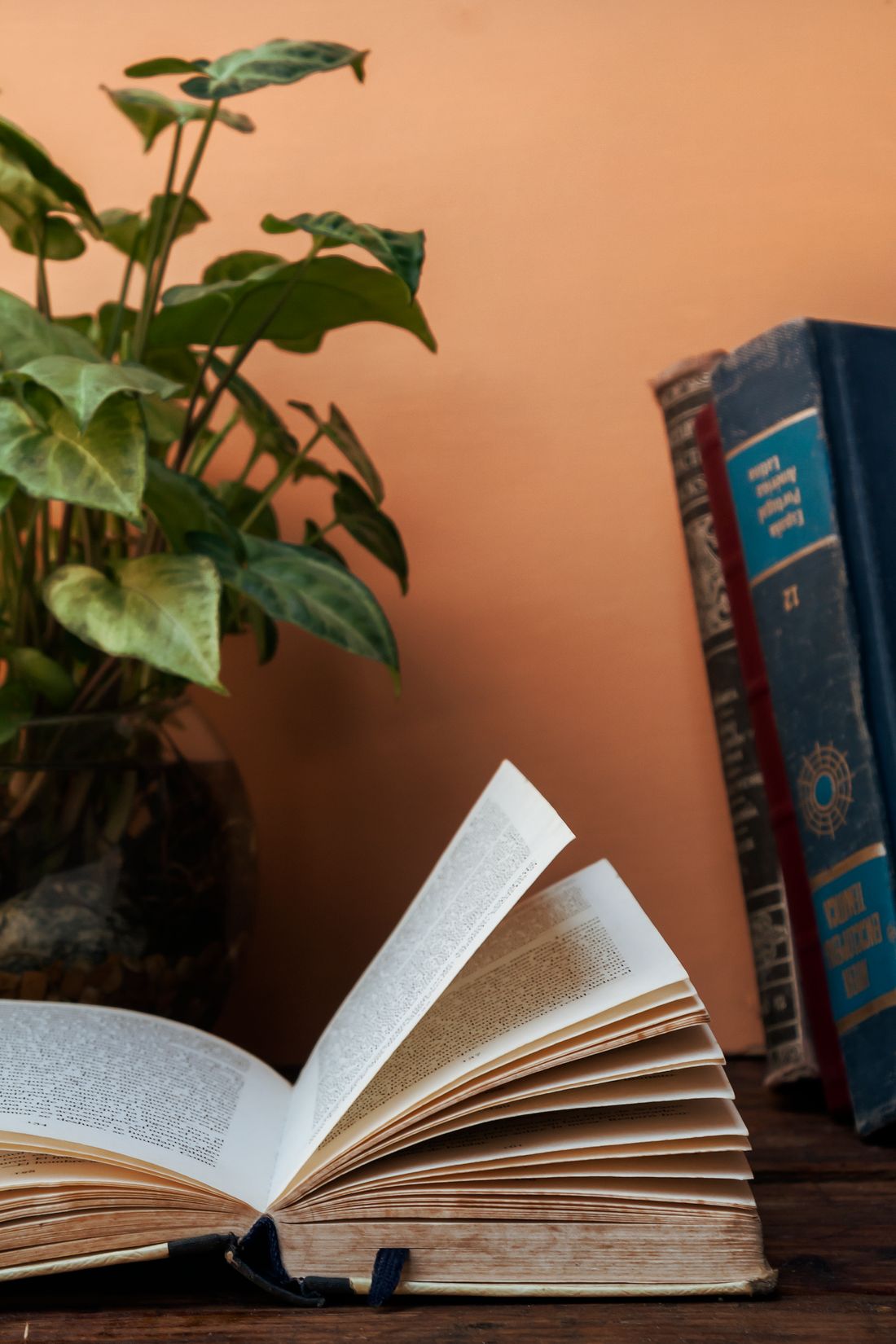 An open hardcover book with a bookmark ribbon on a wooden table, with two more books and a potted plant in the background.