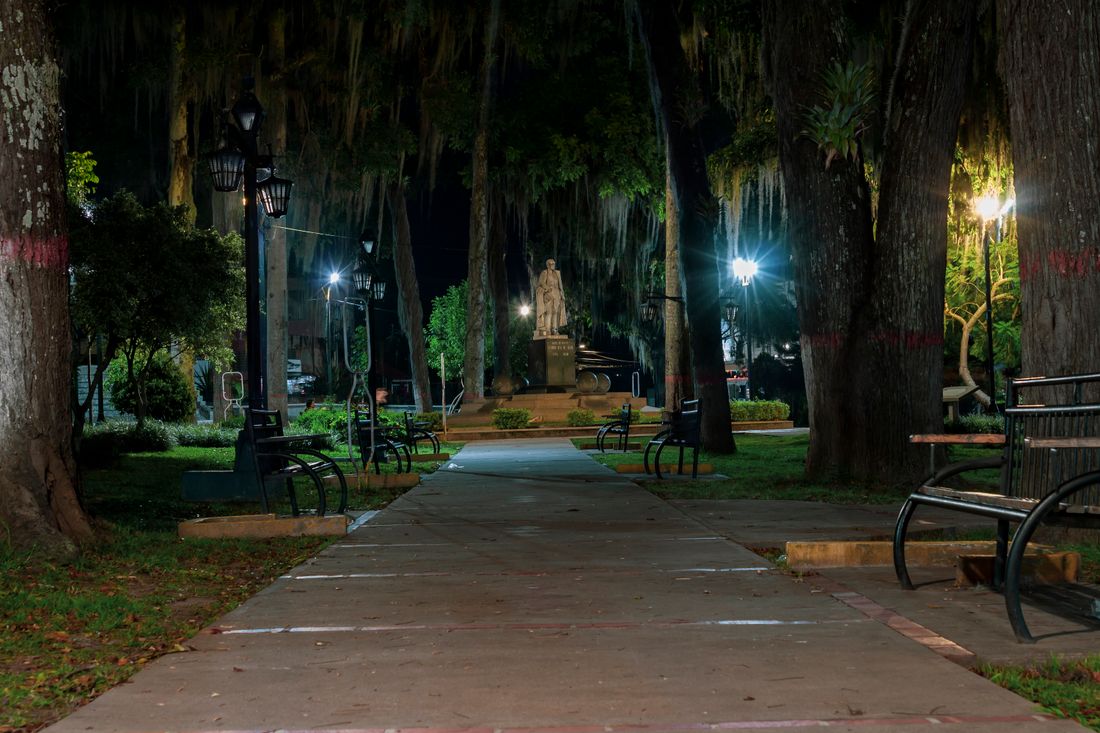 A quiet, tree-lined park path at night with benches and streetlamps