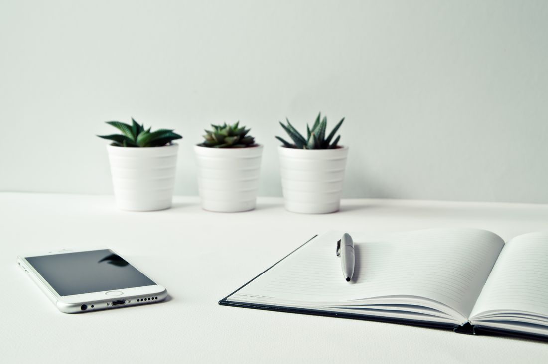 An open notebook and a smartphone on a clean desk with small potted succulents in the background