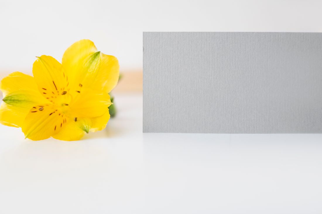 A gray color reference card placed beside a flower for color balance comparison