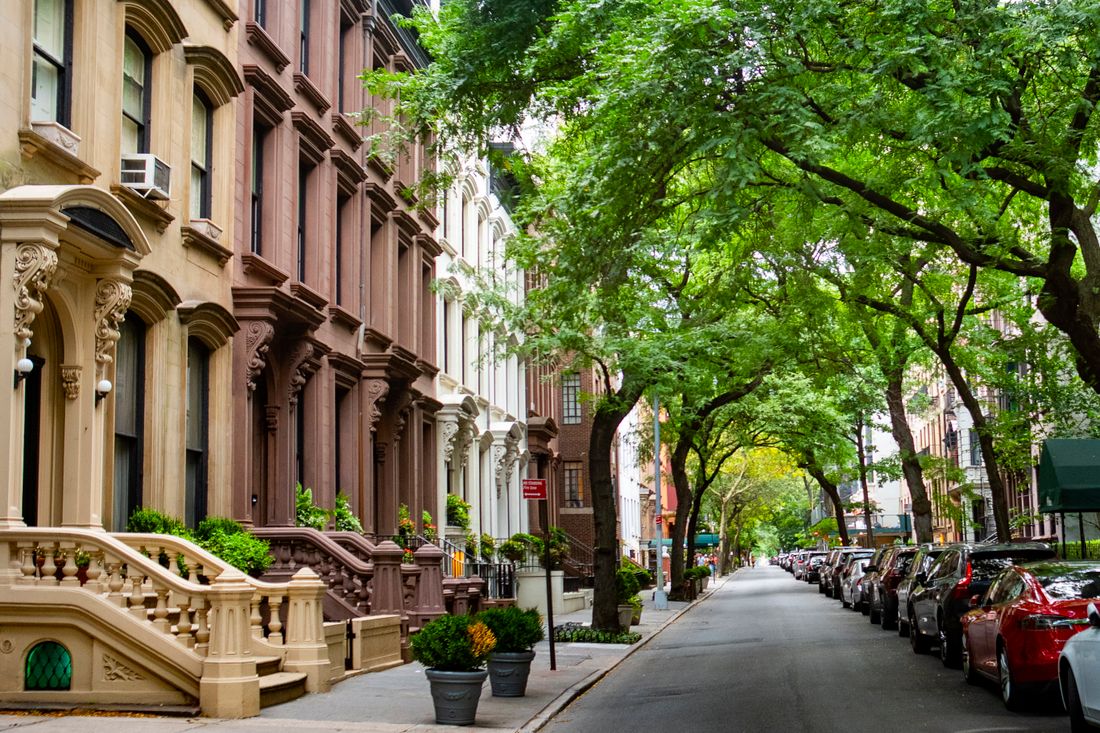 A tree-lined brownstone street on a summer afternoon