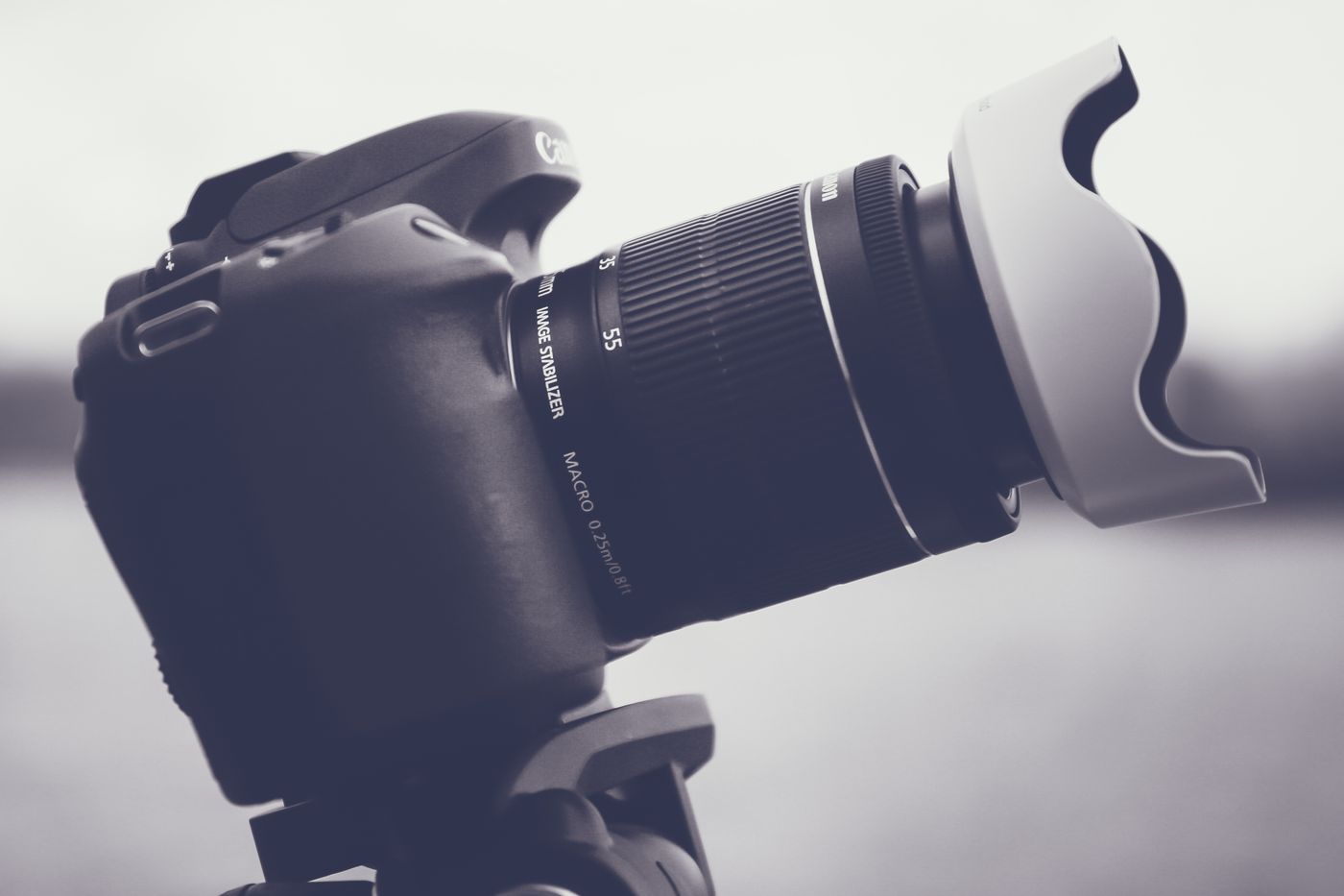 Close-up detail of a DSLR camera with lens hood, toned in black and white with a blurred background