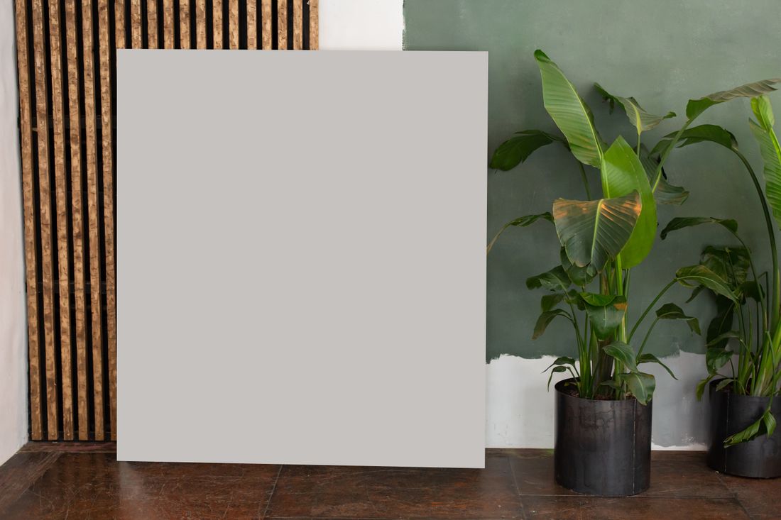 A blank canvas leaning against a wall in a bright room, staged next to potted plants