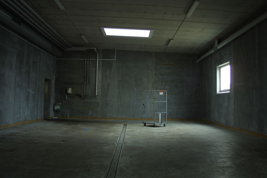 An empty bare-concrete back room with a wire roll cage cart standing alone under a single overhead light panel