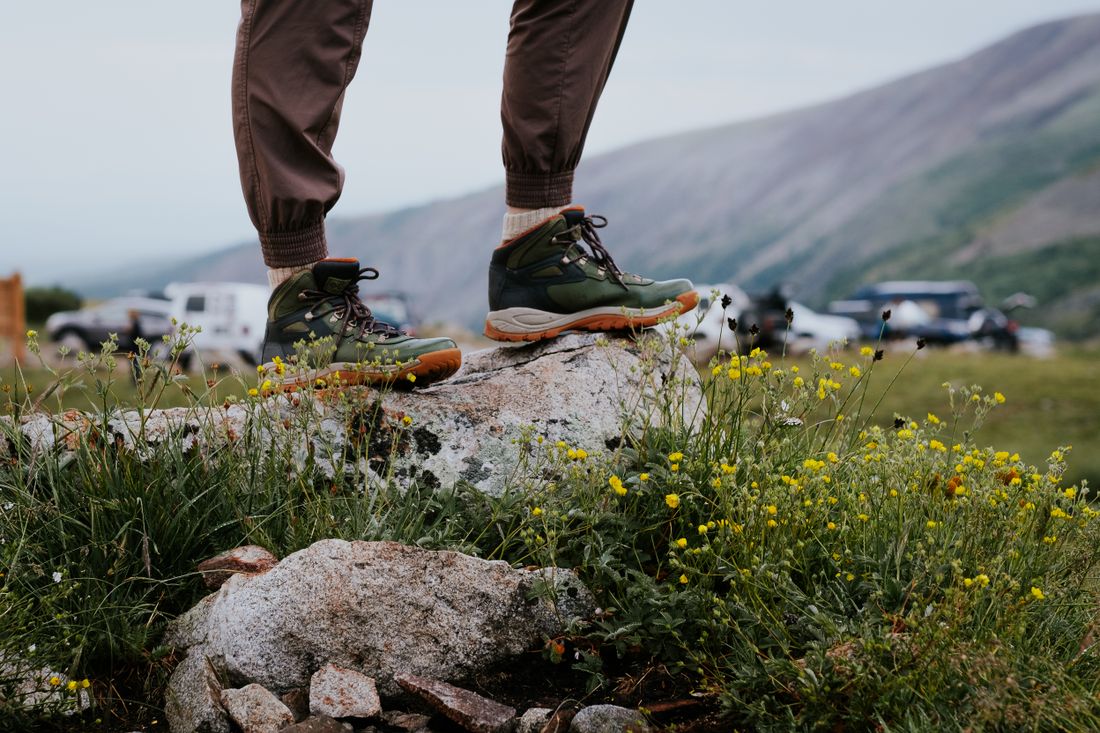 A pair of hiking boots on a rock surrounded by wildflowers with mountain terrain in the background
