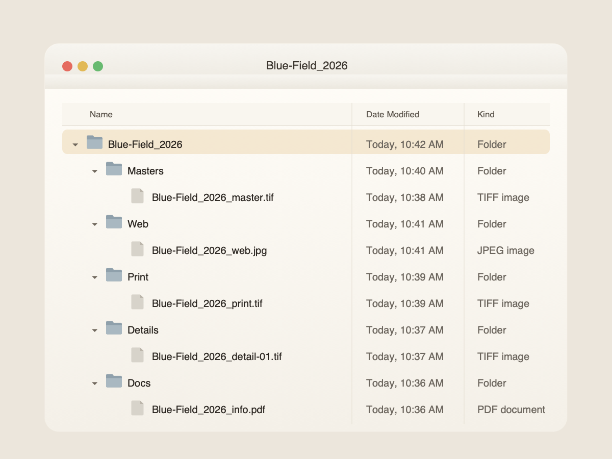 Finder-style folder structure showing master, web, print, detail, and document files for an artwork